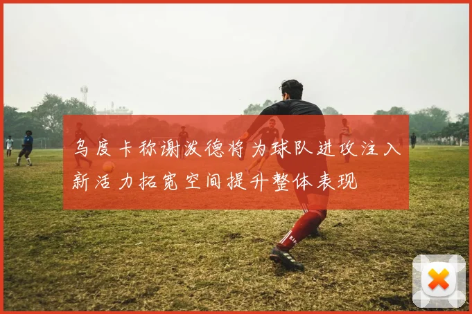 乌度卡称谢泼德将为球队进攻注入新活力拓宽空间提升整体表现