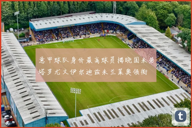 意甲球队身价最高球员揭晓国米劳塔罗尤文伊尔迪兹米兰莱奥领衔